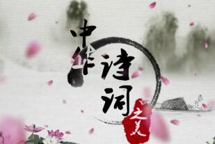 山顶上盛开的花